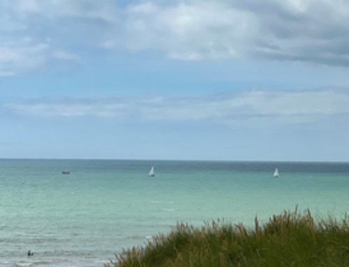 A help for business or a compliance trap – What does the Great British Summer Saving Scheme mean for your business?